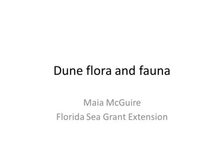 Dune flora and fauna Maia McGuire Florida Sea Grant Extension.