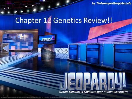 Chapter 12 Genetics Review!!. Incomplete Dom. Co- dominance X-linked Punnett squares Vocab. $100 $200 $300 $400 $500 FINAL JEOPARDY FINAL JEOPARDY.