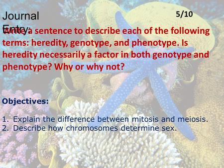 Journal Entry: 5/10 Write a sentence to describe each of the following terms: heredity, genotype, and phenotype. Is heredity necessarily a factor in both.