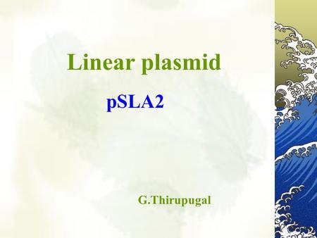 Linear plasmid pSLA2 G.Thirupugal. Introduction-pSLA2 Name:pSLA2 Original host:Streptomyces rochei Host range:Narrow host range Copy number:low copy number(1.