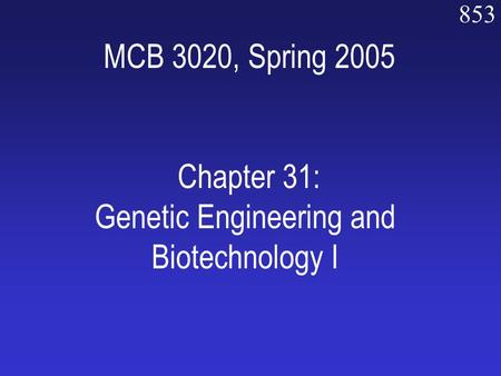 853 MCB 3020, Spring 2005 Chapter 31: Genetic Engineering and Biotechnology I.