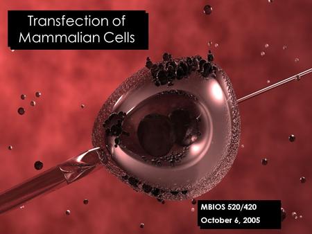 Transfection of Mammalian Cells MBIOS 520/420 October 6, 2005.