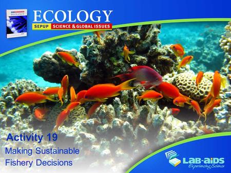 Making Sustainable Fishery Decisions. Activity 19: Making Sustainable Fishery Decisions Activity 19: Making Sustainable Fishery Decisions LIMITED LICENSE.