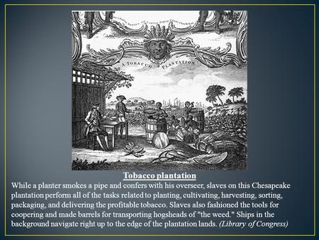 Tobacco plantation While a planter smokes a pipe and confers with his overseer, slaves on this Chesapeake plantation perform all of the tasks related to.