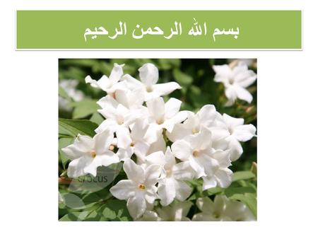 بسم الله الرحمن الرحيم. Organizing holdings & providing library services To provide high quality information services, librarians and information specialists.