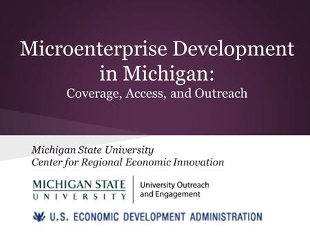 Microenterprise Development in Michigan: Coverage, Access, and Outreach Michigan State University Center for Regional Economic Innovation.