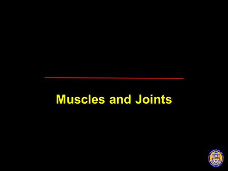 Muscles and Joints 1 1.