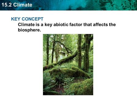 Climate is the prevailing weather of a region.