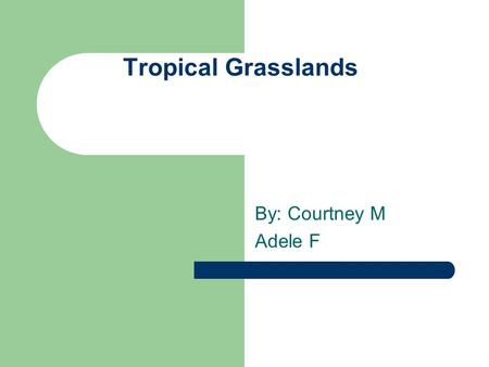 Tropical Grasslands By: Courtney M Adele F. Temperature Average annual temperature 17°C Winter temperature 15°C Summer Temperature 20°C (Living in the.