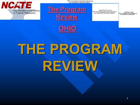 1 THE PROGRAM REVIEW The Program Review The Program Review OHIO.