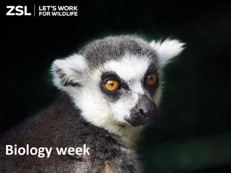 Biology week. What is your favourite animal and why?