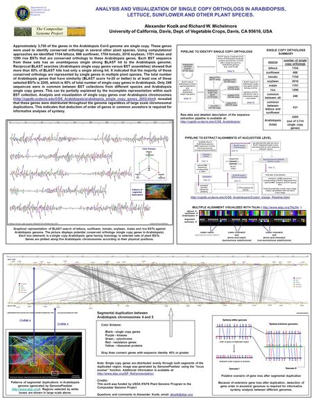 ANALYSIS AND VISUALIZATION OF SINGLE COPY ORTHOLOGS IN ARABIDOPSIS, LETTUCE, SUNFLOWER AND OTHER PLANT SPECIES. Alexander Kozik and Richard W. Michelmore.