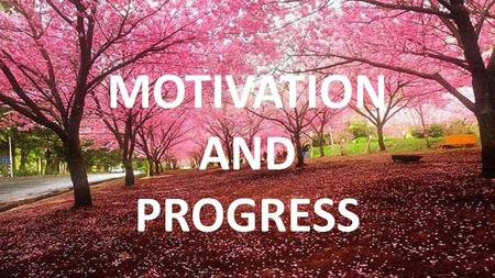 MOTIVATION AND PROGRESS. Factors influencing learner motivation 1.Past learning experience. 2.Success and reward. 3.The content of the lesson. 4.Self-confidence.