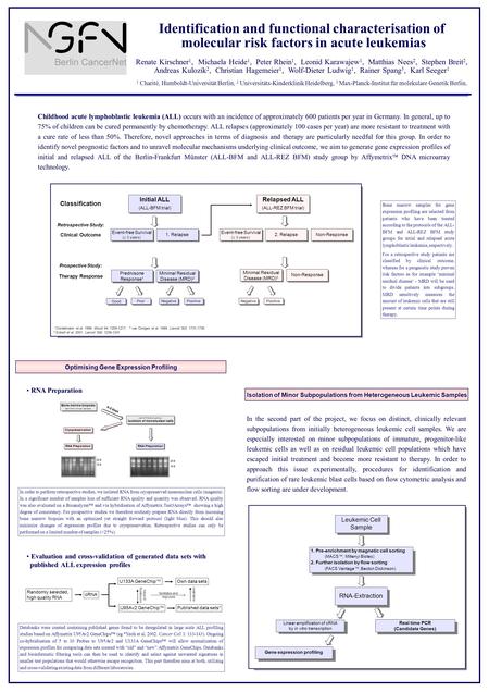 Identification and functional characterisation of molecular risk factors in acute leukemias Renate Kirschner 1, Michaela Heide 1, Peter Rhein 1, Leonid.