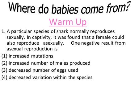 Where do babies come from?