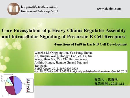 Core Fucosylation of μ Heavy Chains Regulates Assembly and Intracellular Signaling of Precursor B Cell Receptors -Functions of Fut8 in Early B Cell Development.