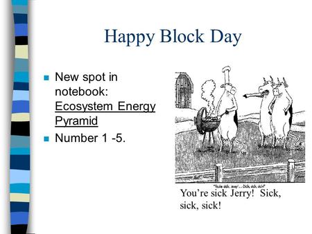 Happy Block Day n New spot in notebook: Ecosystem Energy Pyramid n Number 1 -5. You’re sick Jerry! Sick, sick, sick!