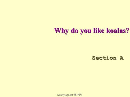 www.yingc.net 英才网 Why do you like koalas? Section A.