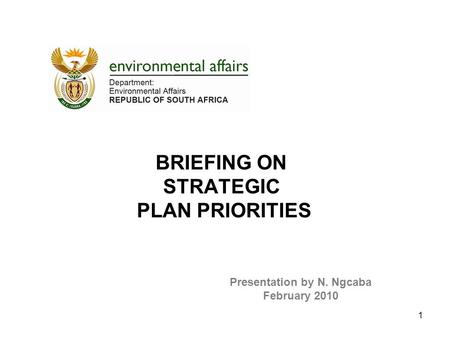 BRIEFING ON STRATEGIC PLAN PRIORITIES Presentation by N. Ngcaba February 2010 1.