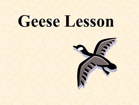 Geese Lesson. WHAT WE CAN LEARN FROM GEESE Fact No. 1 As each bird flaps its wings, it creates an uplift draft for the bird following. By flying in a.