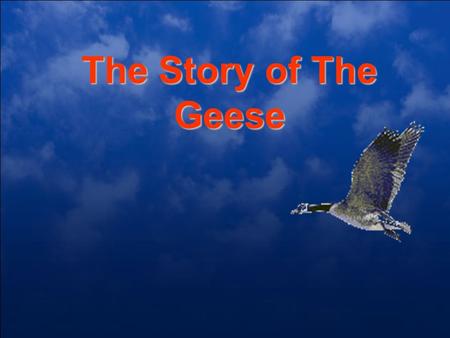 The Story of The Geese. This Fall When you see geese heading south For the winter flying along in “V” formation You might consider what science has discover.