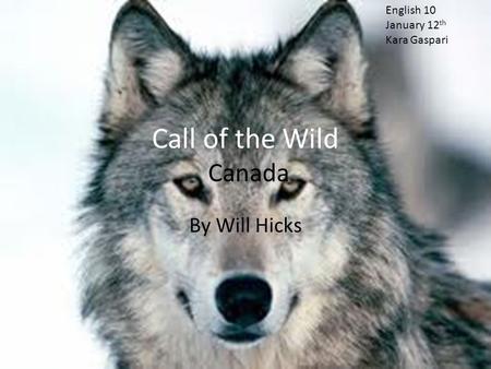 Call of the Wild Canada By Will Hicks English 10 January 12th