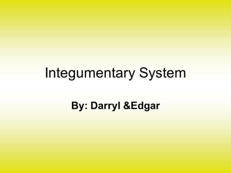 Integumentary System By: Darryl &Edgar. Functions of the skin When you’re Hot Sweat glands produce more sweat mainly water with salts and various other.