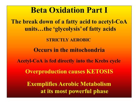 Beta Oxidation Part I The break down of a fatty acid to acetyl-CoA units…the ‘glycolysis’ of fatty acids Occurs in the mitochondria Exemplifies Aerobic.