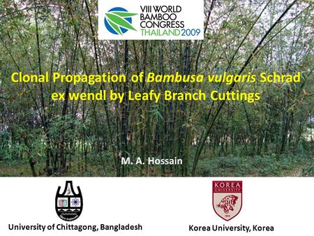 Clonal Propagation of Bambusa vulgaris Schrad ex wendl by Leafy Branch Cuttings M. A. Hossain University of Chittagong, Bangladesh Korea University, Korea.