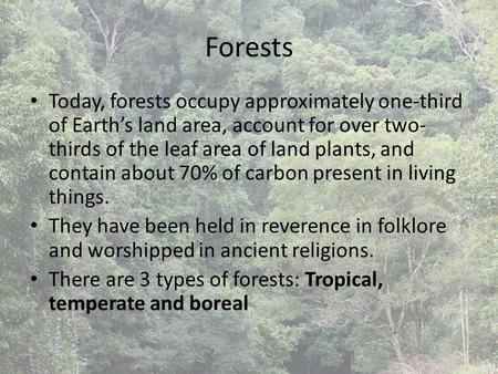 Forests Today, forests occupy approximately one-third of Earth’s land area, account for over two- thirds of the leaf area of land plants, and contain about.