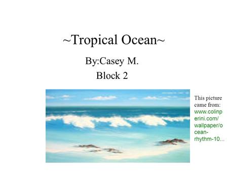 ~Tropical Ocean~ By:Casey M. Block 2 This picture came from: www.colinp erini.com/ wallpaper/o cean- rhythm-10...