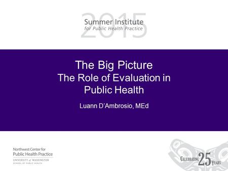 The Big Picture The Role of Evaluation in Public Health Luann D’Ambrosio, MEd.