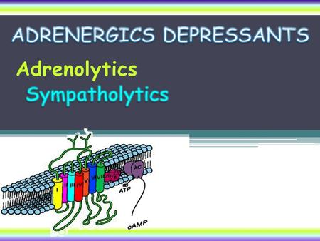 Adrenolytics. Adrenoceptor Blockers Adrenolytics Adrenergic Neuron Blockers Sympatholytics Alpha & beta- adrenergic receptor blockers.