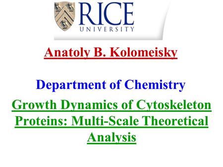 Anatoly B. Kolomeisky Department of Chemistry Growth Dynamics of Cytoskeleton Proteins: Multi-Scale Theoretical Analysis.