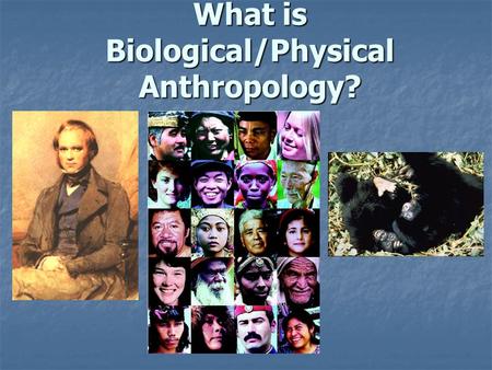 What is Biological/Physical Anthropology? What is Anthropology? Scientific study of the origin, behavior, physical variation, and cultural development.