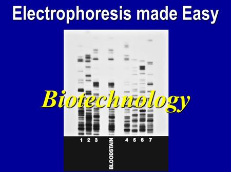 Electrophoresis made Easy Biotechnology. Chapter 13 2 Traditional Applications Biotechnology is applied biology Modern focus on genetic engineering, recombinant.