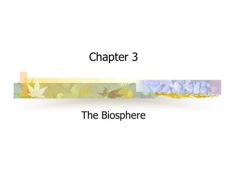 Chapter 3 The Biosphere.