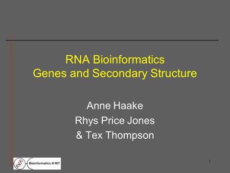 1 RNA Bioinformatics Genes and Secondary Structure Anne Haake Rhys Price Jones & Tex Thompson.