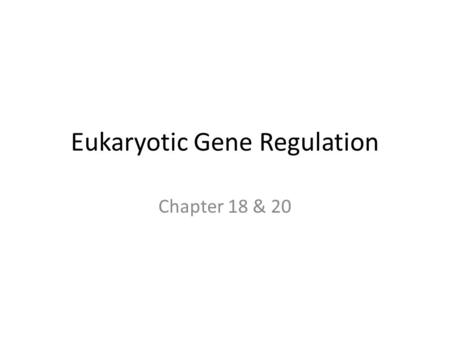 Eukaryotic Gene Regulation