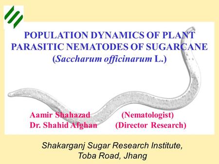 POPULATION DYNAMICS OF PLANT PARASITIC NEMATODES OF SUGARCANE (Saccharum officinarum L.) Aamir Shahazad (Nematologist) Dr. Shahid Afghan (Director Research)