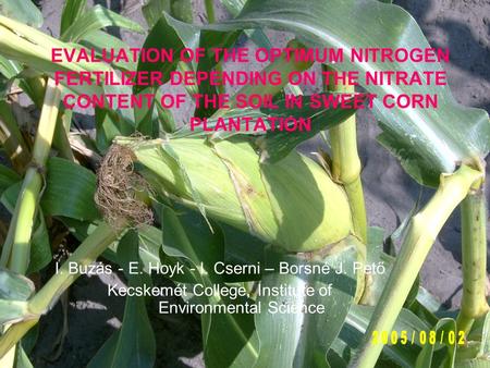 EVALUATION OF THE OPTIMUM NITROGEN FERTILIZER DEPENDING ON THE NITRATE CONTENT OF THE SOIL IN SWEET CORN PLANTATION I. Buzás - E. Hoyk - I. Cserni – Borsné.