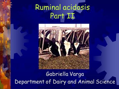 Ruminal acidosis Part II Gabriella Varga Department of Dairy and Animal Science.