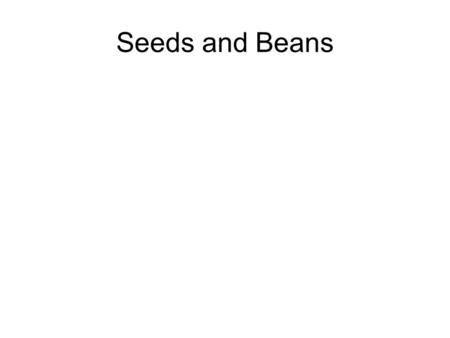 Seeds and Beans. Blackeye beans or Cowpeas Cranberry bean.