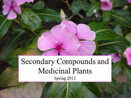 Secondary Compounds and Medicinal Plants Spring 2012.