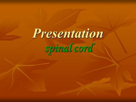 Presentation spinal cord