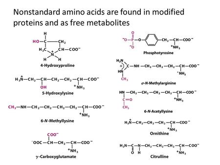 FIGURE 3-8a Uncommon amino acids