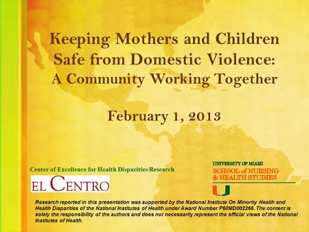 Keeping Mothers and Children Safe from Domestic Violence: A Community Working Together February 1, 2013 Center of Excellence for Health Disparities Research.