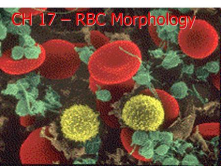 CH 17 – RBC Morphology. Erythrocytes  >99% of the formed elements  function to carry O 2, CO 2 & H +  anatomy  biconcave disks, 8 µm in diameter 