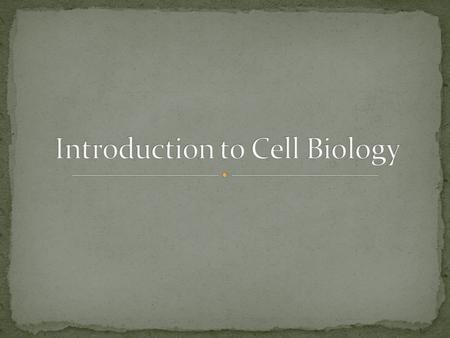 While we watch the YouTube clip, take notes about the scientists involved in the discovery of cells. Note the dates, people involved, and their particular.