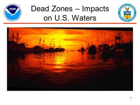 1 Dead Zones – Impacts on U.S. Waters. 2 What are Dead Zones? Lingcod from Dead Zone in Hood Canal, Puget Sound Fish kill caused by Dead Zone in Corsica.